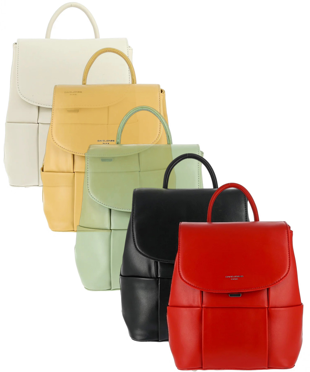 David Jones Backpack (4 Colors) – CeCe Fashion Boutique