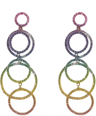 Hoop Earrings EC840002