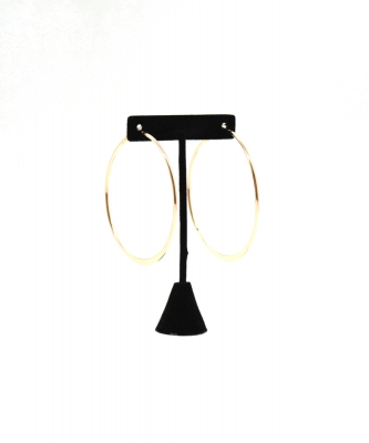Hoop Fashion Earring EH700975GDGD