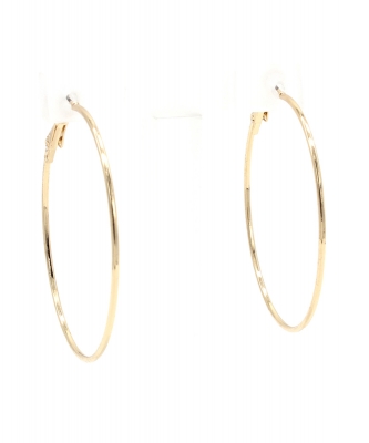 Basic Hoop, Earring Hoop EH901155GDGD