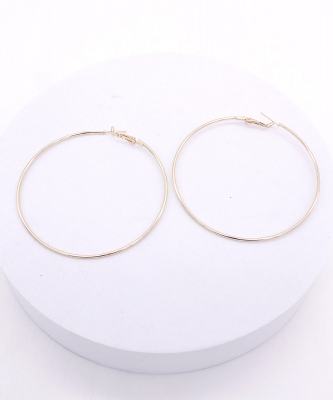 Simple Hoop Earring EH901175
