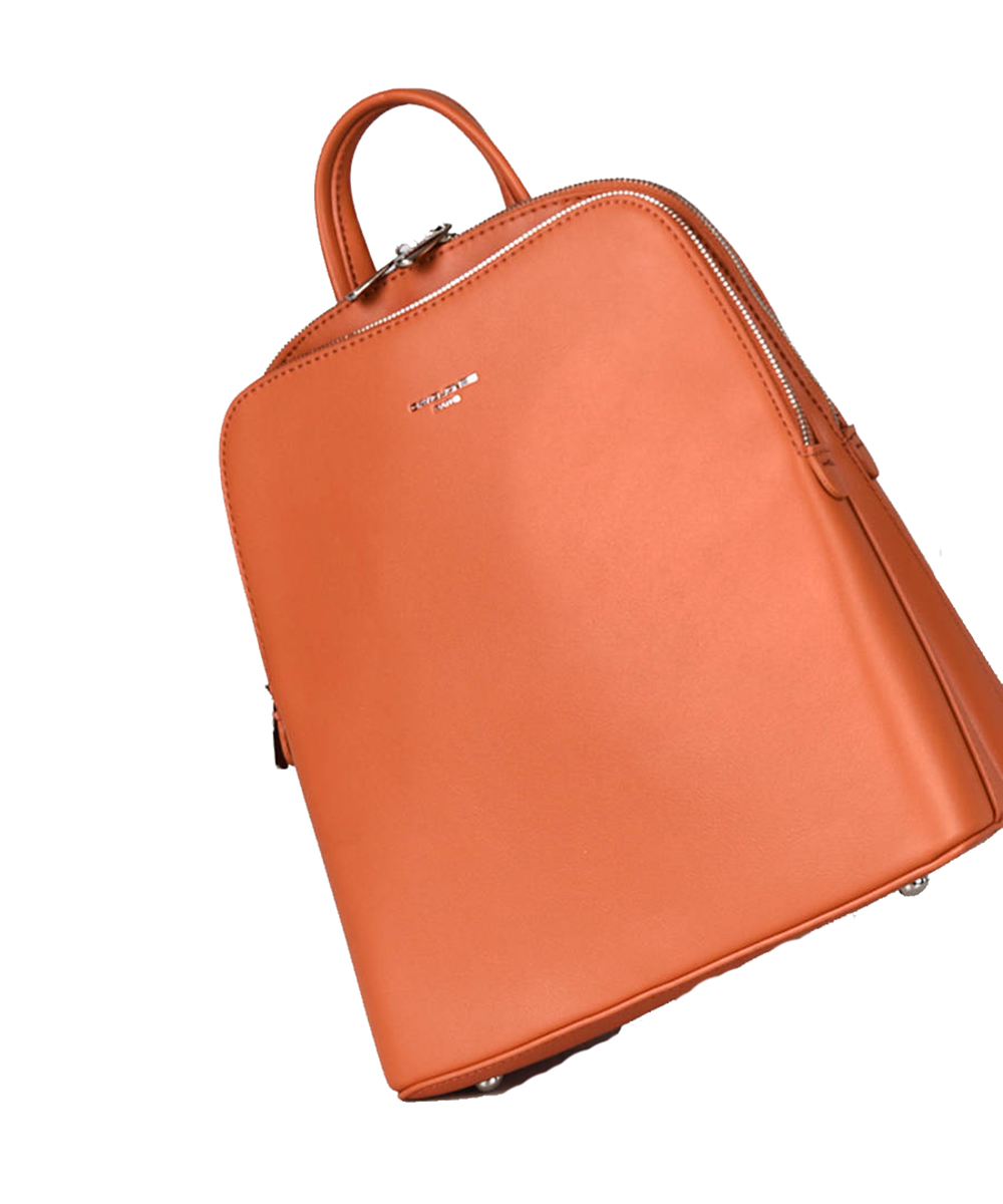 David Jones Backpack 6502-2 GREEN: Wholesale Handbags