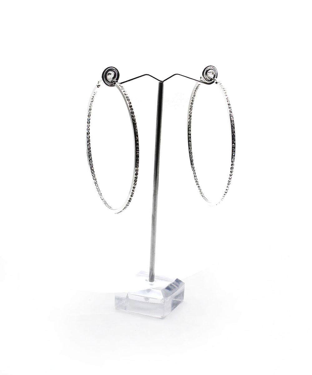 Fashion Hoop Earrings EH910365