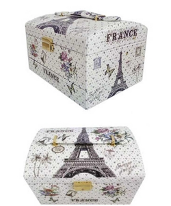 Eiffel Tower Print Design Cosmetic Box CO-217