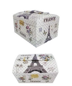 Eiffel Tower Print Design Cosmetic Box CO217